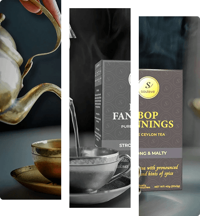 Tea sachets and cup