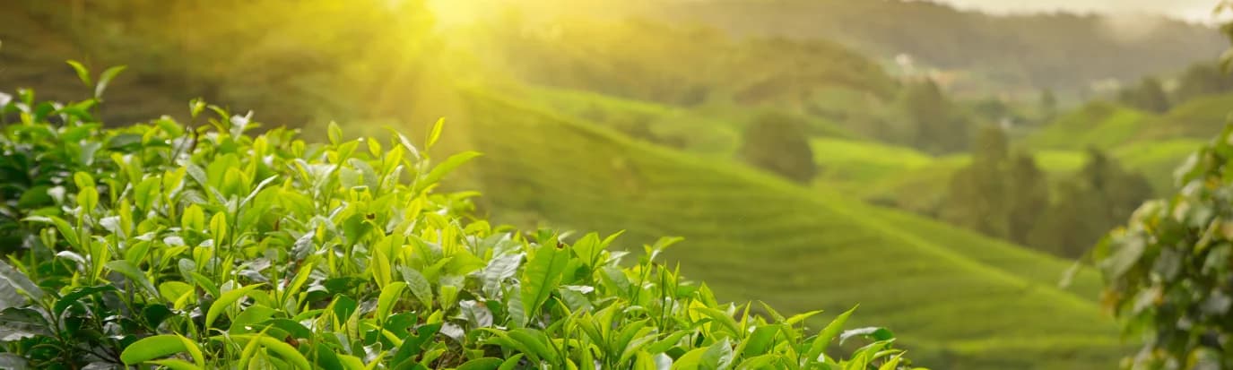 Contact Us Background